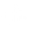 Bonsai Sushi